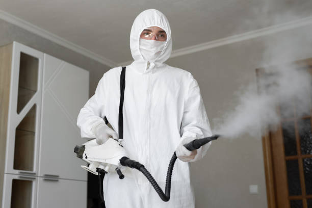 Best Mold Odor Removal Services in Barnesville, OH