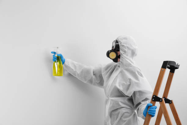 Barnesville, OH Mold Removal Company